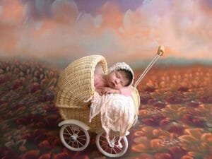 Newborn backdrop extended