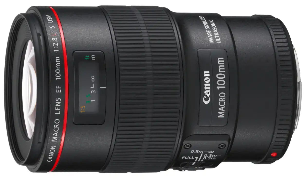 Best Canon Lens for Food Photography (2025 Guide) 5 Canon EF 100mm f/2.8L Macro IS USM