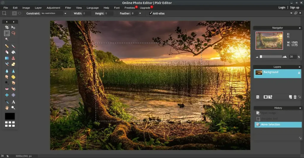 Pixlr – Browser-Based Simplicity with AI Magic